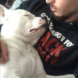 Meet your Posher, Chris